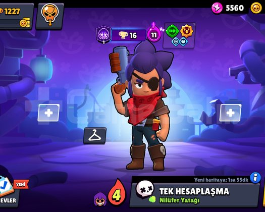 1K Shelly Main