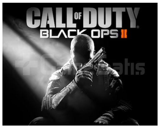 Call of Duty Black Ops II + PS4/PS5
