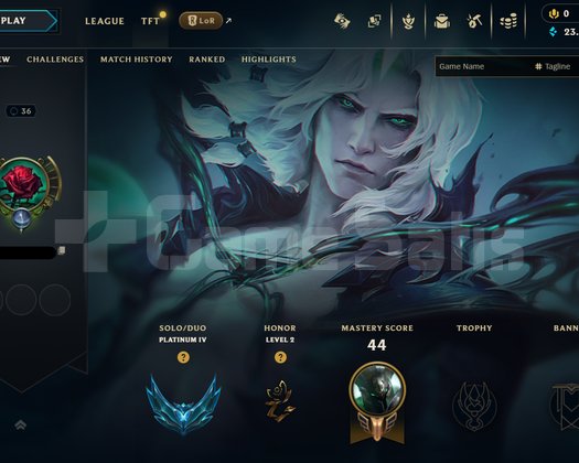 TR Plat 4 30 LP Alan Hesap
