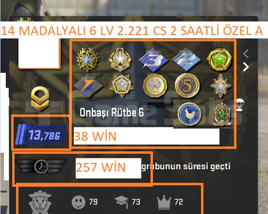 14 MADALYALI 6 LV 2.221 SAATLİ MAİLLİ MAİNLİK HESA