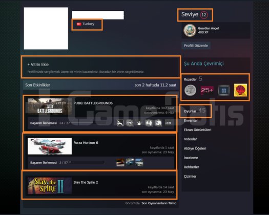11 MADALYALI FACEİT GTA V PUBG PLUS BFE IV Black M