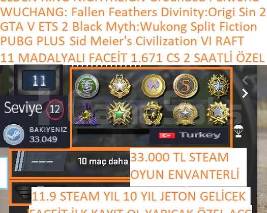 11 MADALYALI FACEİT GTA V PUBG PLUS BFE IV Black M