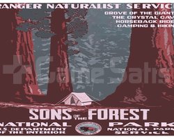 Sons of The Forest