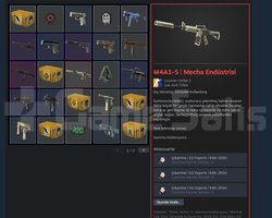 steam cs2 hesabı hesapta farklı oyunlar var