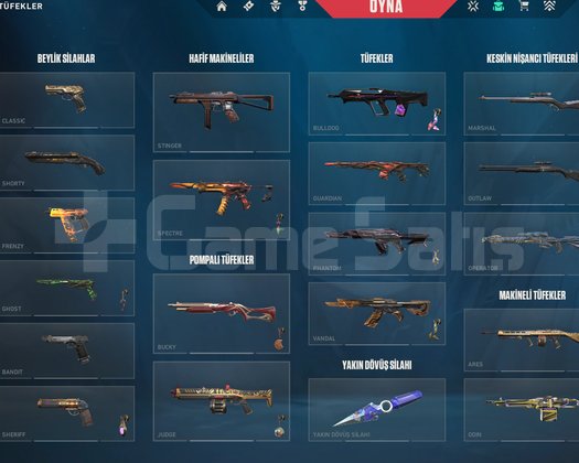 PREMİUM BOL SKİNLİ GOLD 2 YÜKSEK MMR HESAP