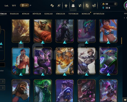 348 LVL + 119 KOSTÜM + 172 HERO + GÜMÜŞ 2 + MAİL!