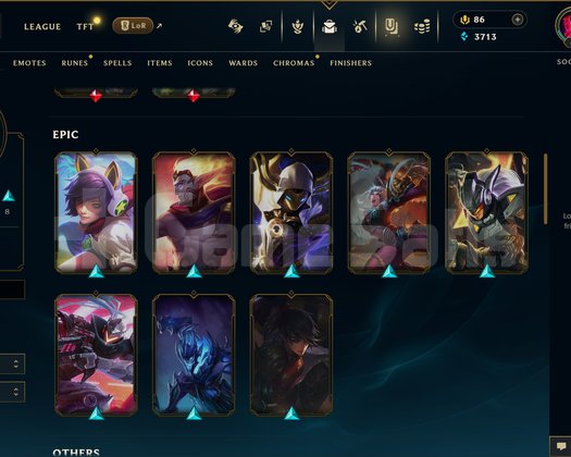 TR | 48 SKİN | UNRANKED