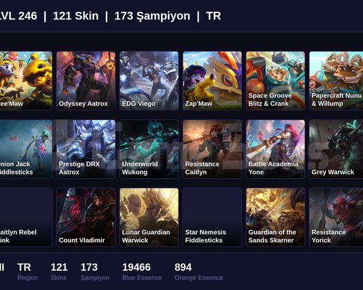 TR / 246 LVL + 121 SKİN + SILVER II + M-ONAYSIZ !!