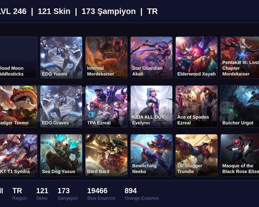 TR / 246 LVL + 121 SKİN + SILVER II + M-ONAYSIZ !!