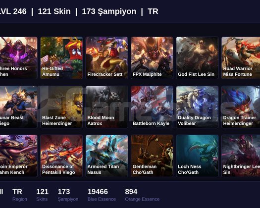 TR / 246 LVL + 121 SKİN + SILVER II + M-ONAYSIZ !!
