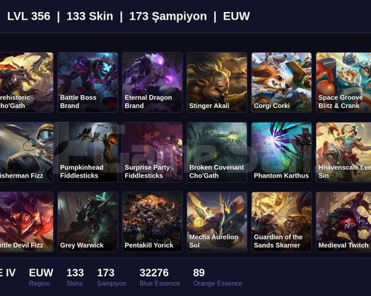 EUW / 356 LVL + 133 SKİN + BRONZE IV !!