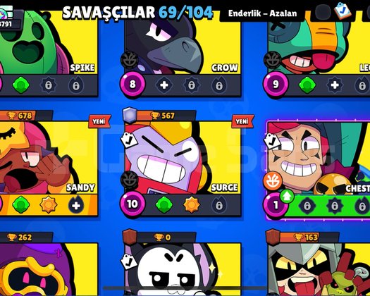 +9 EFSANEVİ İLK SEZON BRAWL PASSLİ KOLEKSİYONLUK