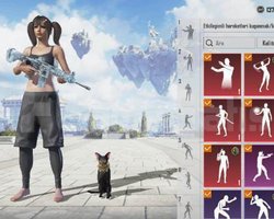 Mükemmel pubg hesabı 60 level üstü
