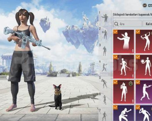 Mükemmel pubg hesabı 60 level üstü