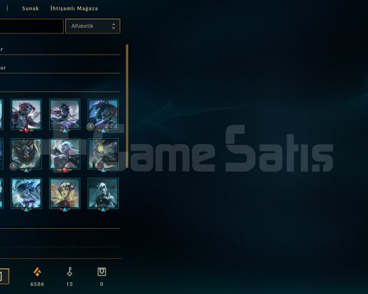 +300 lp Master 350 Çok Değerli Skinli 11 Yıllık