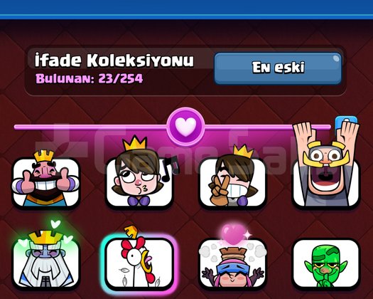 8000 kupa çitir hesap