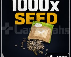 1000x tohumseed legal