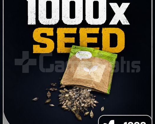1000x tohumseed legal