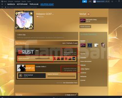 rust 9800 saat 10 level steam bütün bilgiler