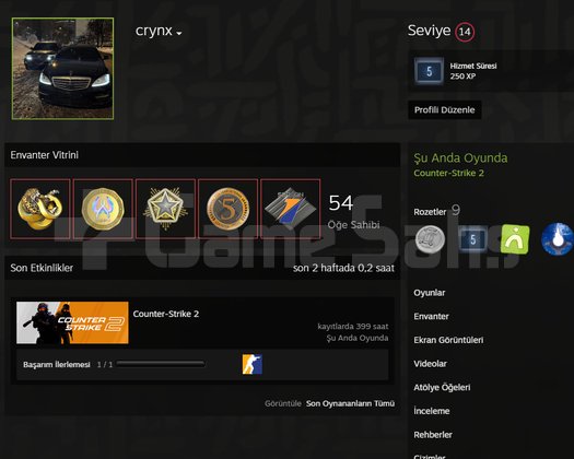 İLK MAİLLİ 5 MADALYALI CS2 HESAP MAİNLİK