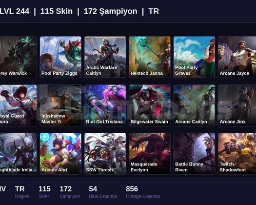 TR / 244 LVL + 115 SKİN + SILVER IV !!