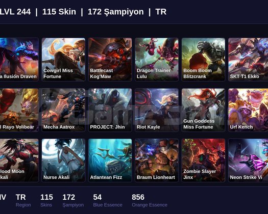 TR / 244 LVL + 115 SKİN + SILVER IV !!