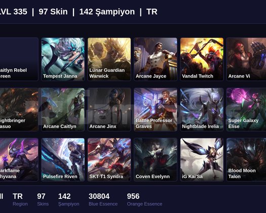 TR / 335 LVL + 97 SKİN + SILVER II !!