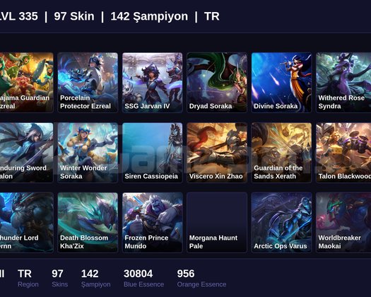 TR / 335 LVL + 97 SKİN + SILVER II !!