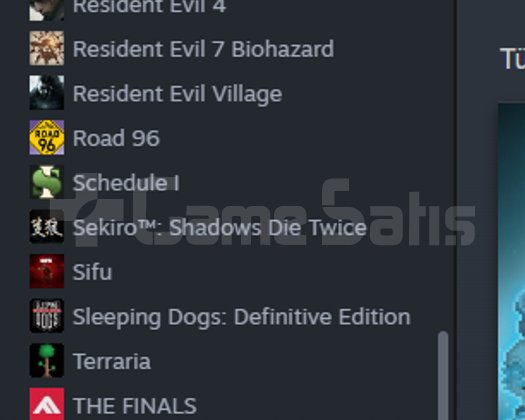 Ömürlük dopdolu yayıncı steam hesabı +cs2prime