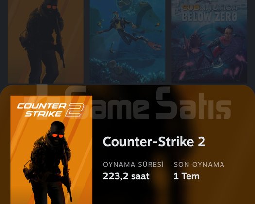 CS2+SEÇKİNLİK AÇIK+SUBNAUTİCA STEAM HESABI