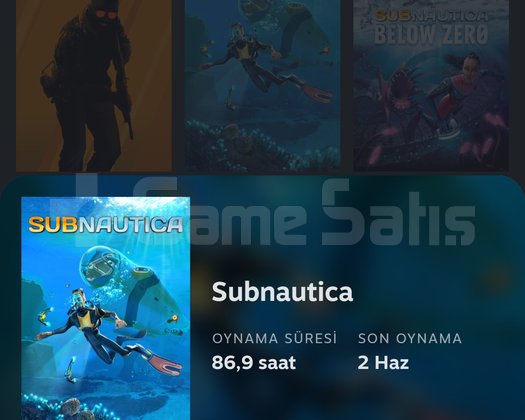 CS2+SEÇKİNLİK AÇIK+SUBNAUTİCA STEAM HESABI