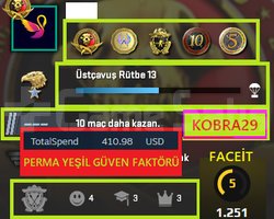 FACEİT+ 5 MADALYA 191 WİN 594 SAAT SEÇKİN