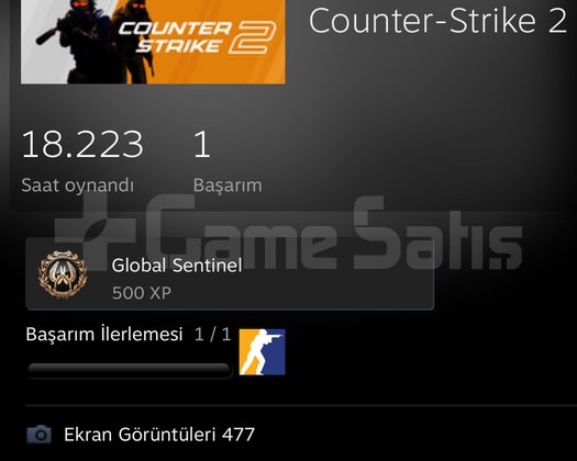 18BİN SAAT 20+üzeri madalya 2300ELO FACEİT