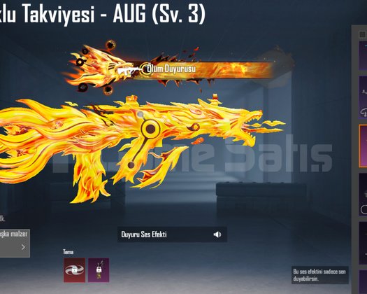 Sitenin en nadir hesabı 161 destansı