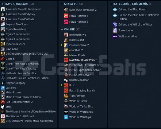 Premium Steam Hesabı | Detaylar Açıklamada F/P