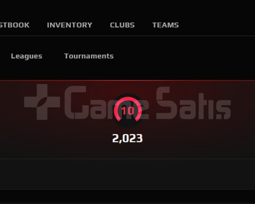 19 MADALYA + FACEIT 10 LEVEL ÖMÜRLÜK MAİN HESAP