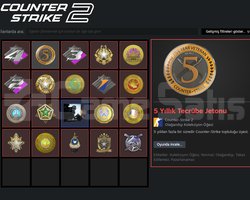 19 MADALYA + FACEIT 10 LEVEL ÖMÜRLÜK MAİN HESAP