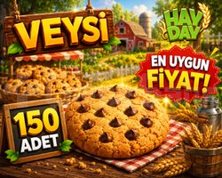 HIZLI TESLİM 150 kurabiye