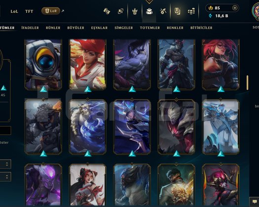 374 LVL + 124 KOSTÜM + 172 HERO + GOLD 3 + MAİL!