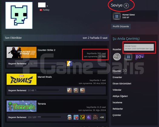 ANINDA TESLİM | 6 MADALYA | 394 SAAT | FACEIT