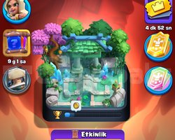 6500 kupa 5-6 senelik hesap