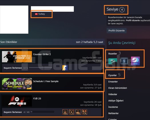 2 MADALYALI 12 LV FACEİT F1 25 RAFT LEGO DC Supe
