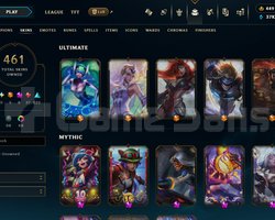 462 KOSTUM669 LEVEL TFT USTALIK +TEl