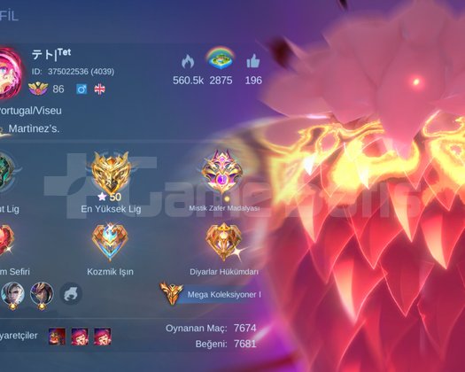 601 Skinli Mega Koleksiyoner 1 hesap