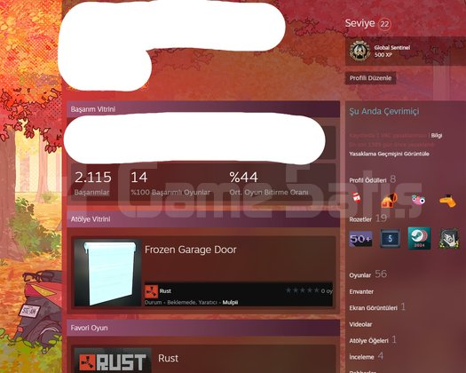EMEK YILLIK STEAM HESAP ÜNİ İÇİN SATIYORUM