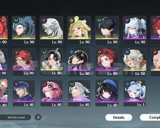 EU80 level Endgame Hesap
