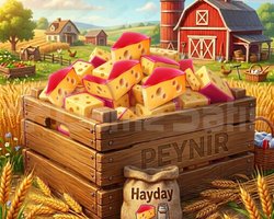 250 ADET PEYNİR