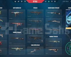 BOL SKİNLİ VALORANT HESABI