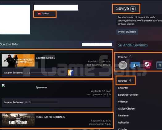 7 MADALYALI 9 LV PUBG PLUS Euro Truck Simulator 2