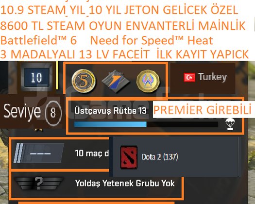 3 MADALYALI 13 LV Battlefield 6 Need for Speed H